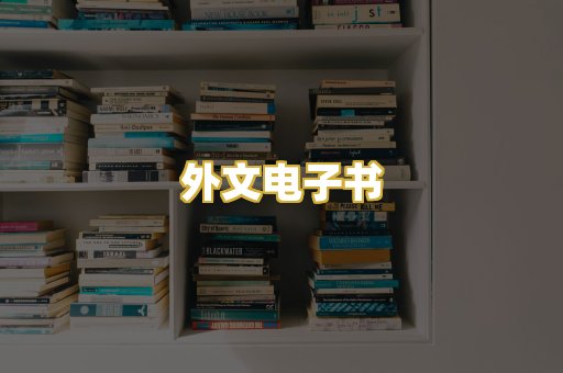 外文电子书